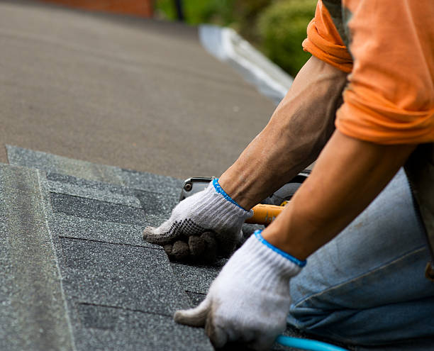 Best Metal Roofing Contractor  in Holliday, TX